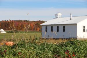 Learning Sustainability from the Amish Way of Life
