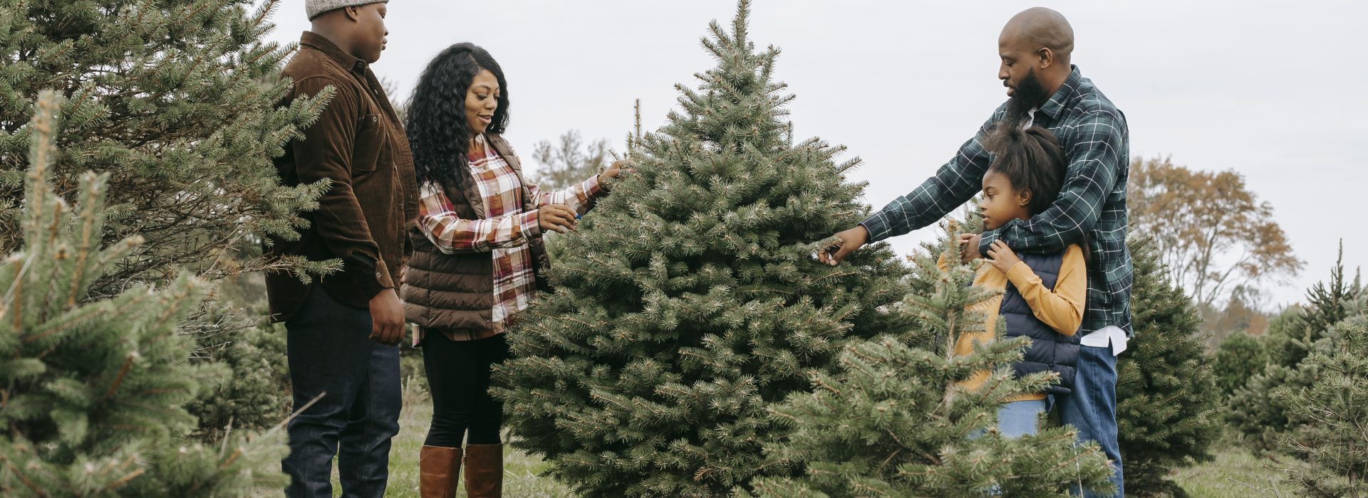 Greening the Season: Planting Trees Instead of Cutting Them Down for a Sustainable Christmas