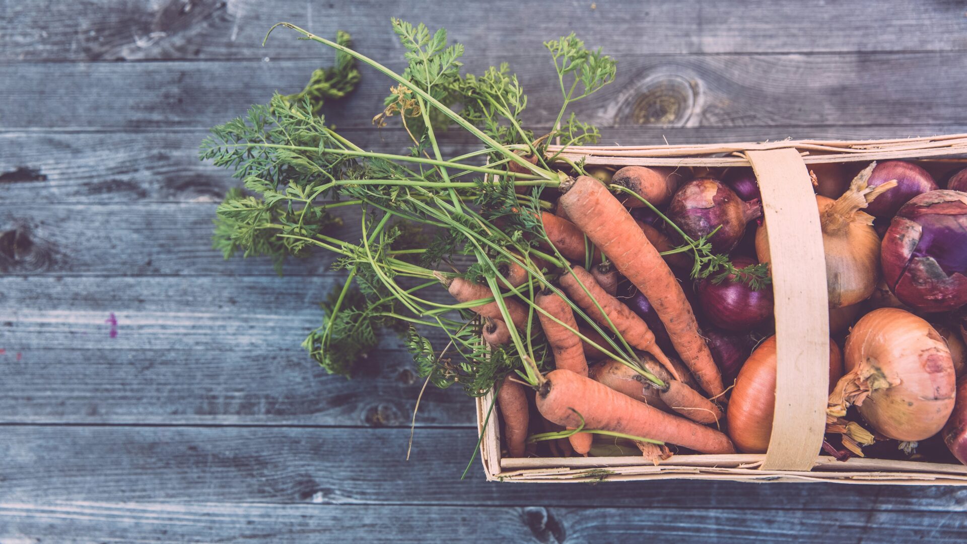 Cultivating a Sustainable Future: The Core Principles of Organic Farming
