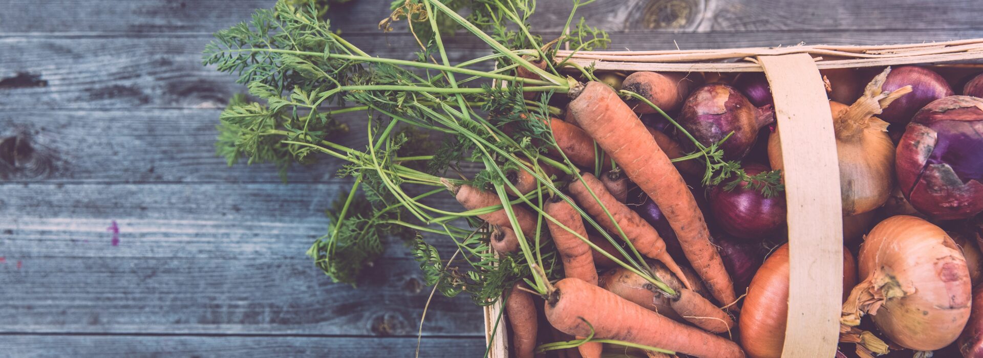 Cultivating a Sustainable Future: The Core Principles of Organic Farming