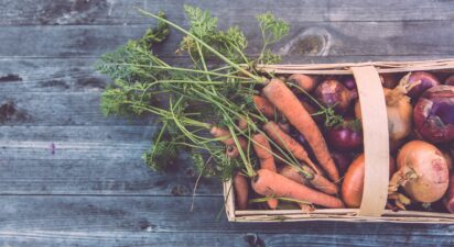 Cultivating a Sustainable Future: The Core Principles of Organic Farming