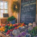 Organic vs. Heirloom Seeds: What Sets Them Apart?