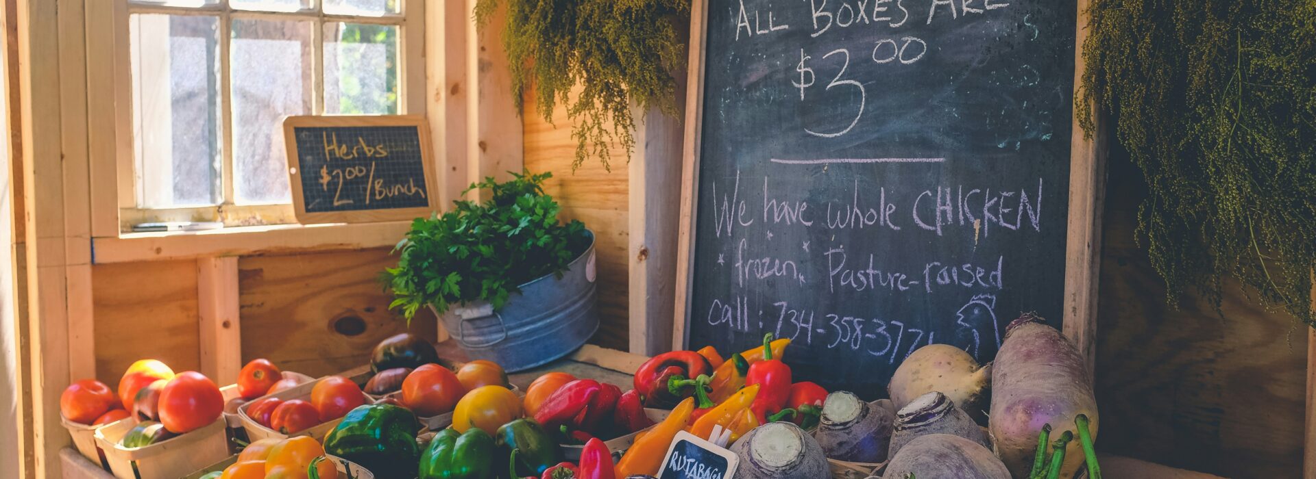 Organic vs. Heirloom Seeds: What Sets Them Apart?