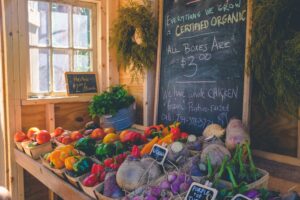 Organic vs. Heirloom Seeds: What Sets Them Apart?