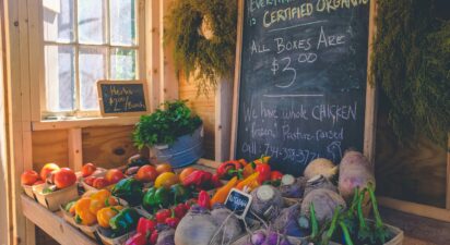 Organic vs. Heirloom Seeds: What Sets Them Apart?