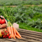 Comprehensive Guide to Organic Farming Practices