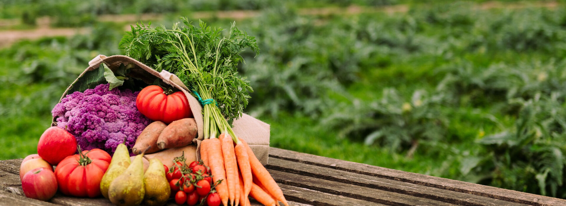 Comprehensive Guide to Organic Farming Practices