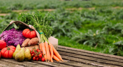 Comprehensive Guide to Organic Farming Practices