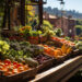 How Organic Farmers Can Reach a Broader Market
