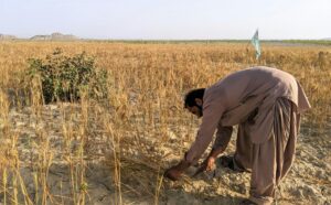 Stop Selling, Start Planting: The Case for Holding On to Ancestral Land