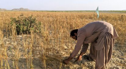 Stop Selling, Start Planting: The Case for Holding On to Ancestral Land