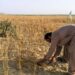 Stop Selling, Start Planting: The Case for Holding On to Ancestral Land