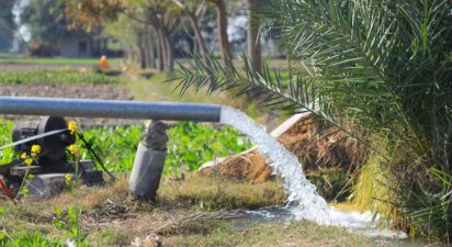 Your Ancestral Land Is Waiting. Here’s How to Wake It Up.