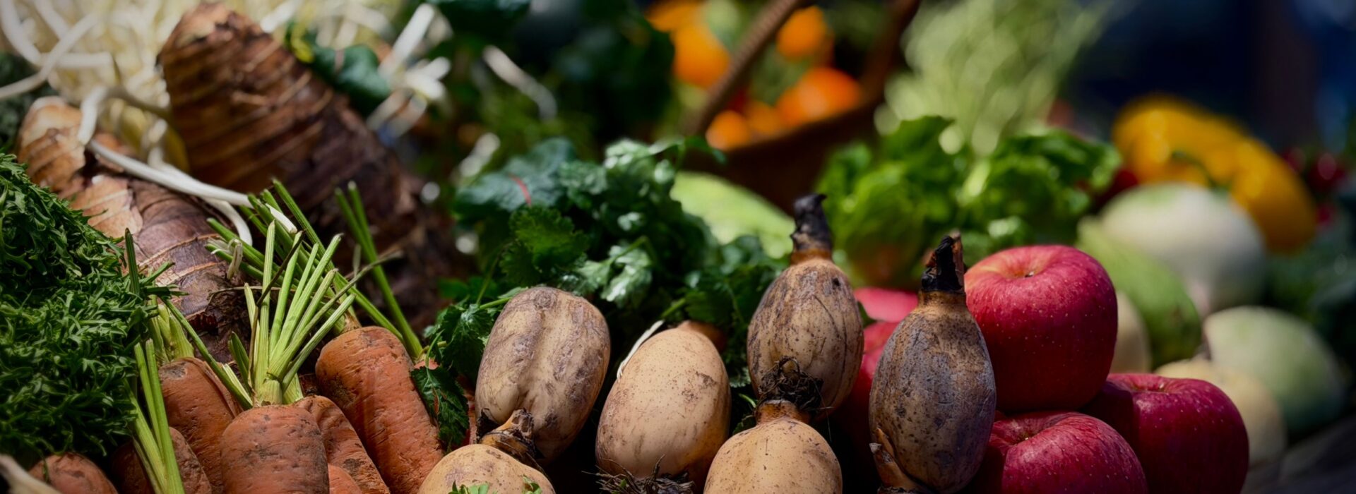 Eat Safe, Eat Fresh, Eat Fair: What the Global Food System Is Really Costing Us
