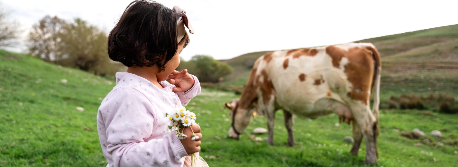Organic In, Organic Out: Why What Your Cows Eat Ends Up in Your Soil