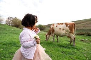 Organic In, Organic Out: Why What Your Cows Eat Ends Up in Your Soil