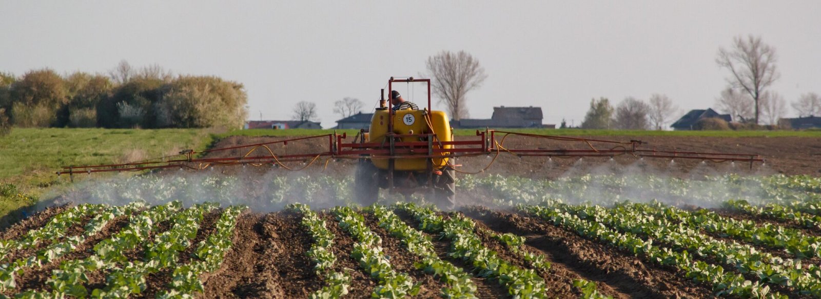 The Hidden Bill for “Cheap” Fertilizer
