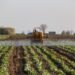 The Hidden Bill for “Cheap” Fertilizer