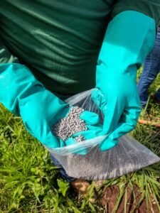 Person hands in gloves holding bag with soil