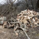 Hügelkultur: What It Is, How It Works, and How to Build One