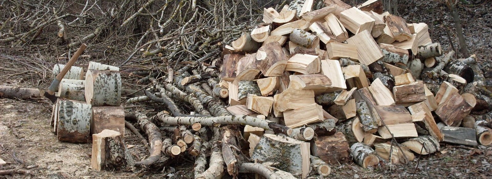 Hügelkultur: What It Is, How It Works, and How to Build One