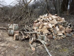 Hügelkultur: What It Is, How It Works, and How to Build One