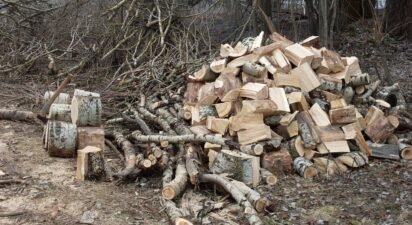 Hügelkultur: What It Is, How It Works, and How to Build One