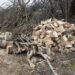 Hügelkultur: What It Is, How It Works, and How to Build One