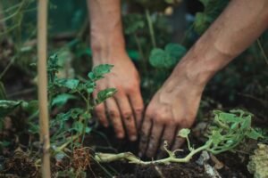 More Creatures, Healthier Crops: The Permaculture Secret Every Farmer Should Know